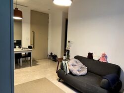 The Boutiq (D9), Apartment #526579451